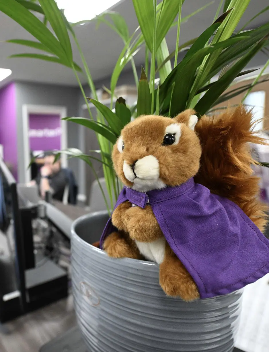 vacancies-squirrel