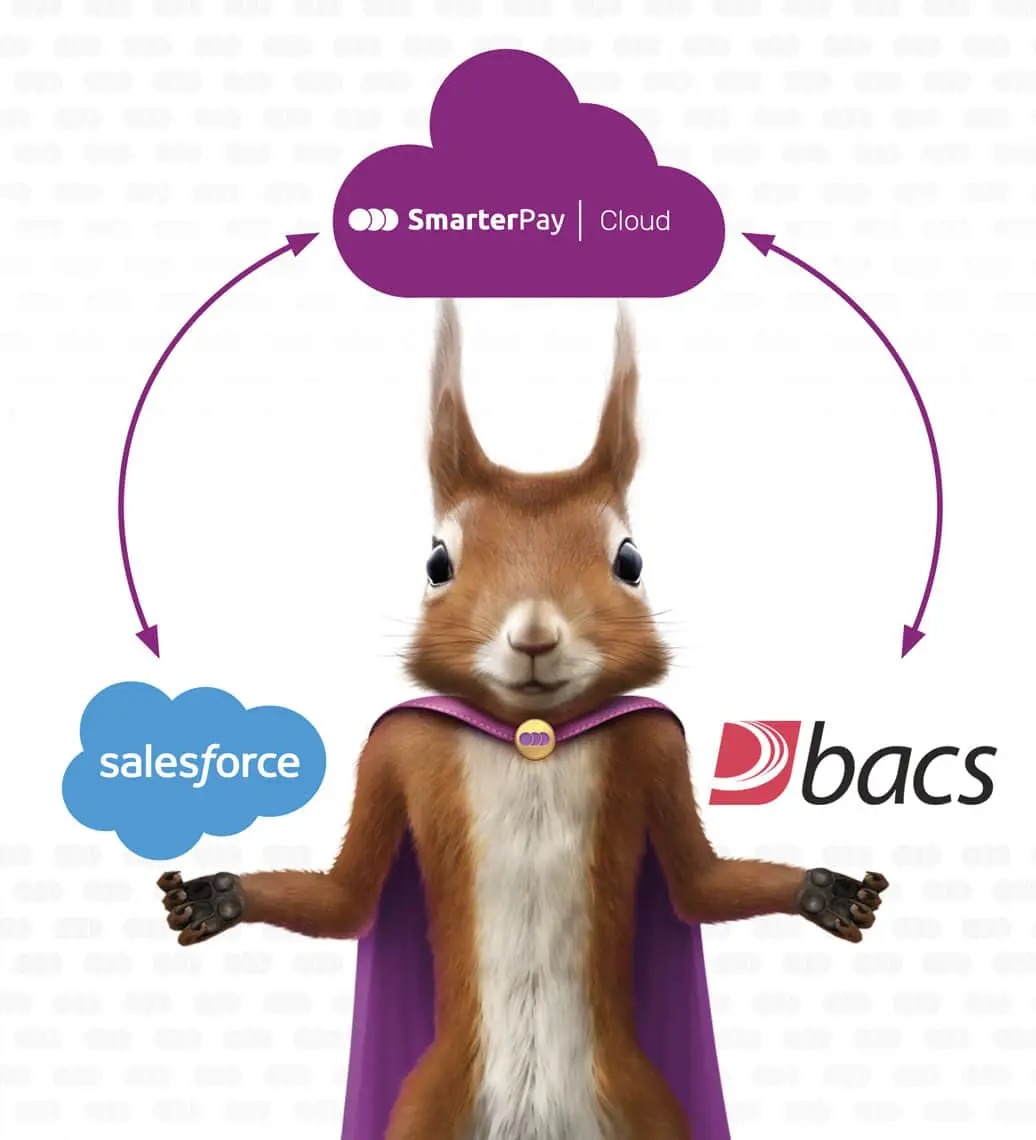 saleforce-bacs-architecture